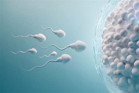 spermin yumurtaya girmesi hissedilir mı